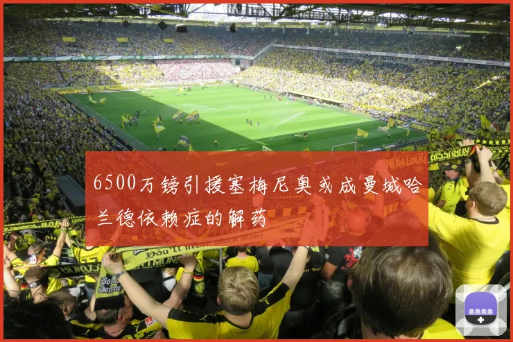 6500万镑引援塞梅尼奥或成曼城哈兰德依赖症的解药