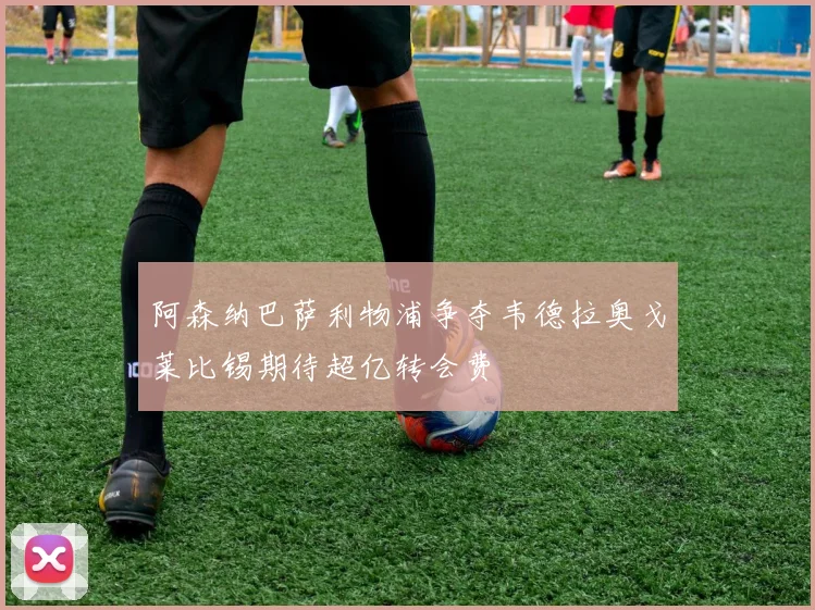 阿森纳巴萨利物浦争夺韦德拉奥戈莱比锡期待超亿转会费